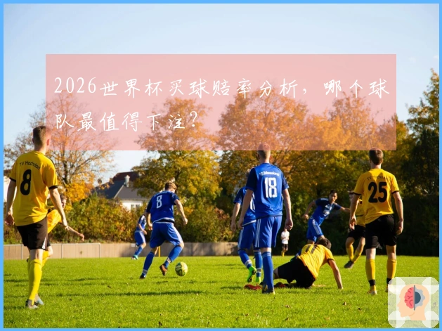 2026世界杯买球赔率分析，哪个球队最值得下注？