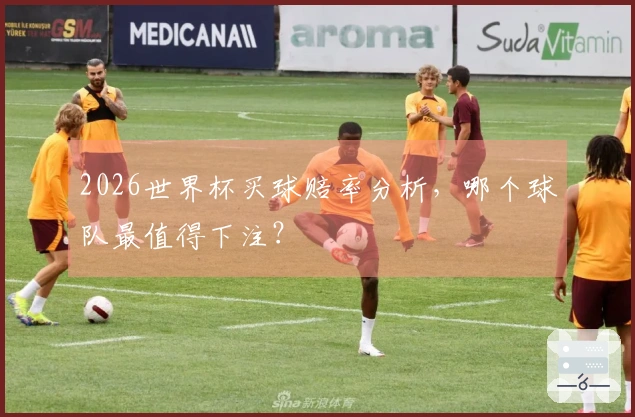 2026世界杯买球赔率分析，哪个球队最值得下注？