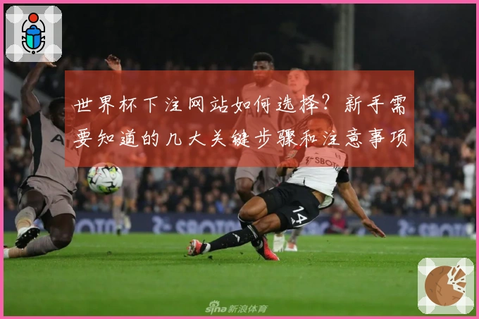 世界杯下注网站如何选择？新手需要知道的几大关键步骤和注意事项