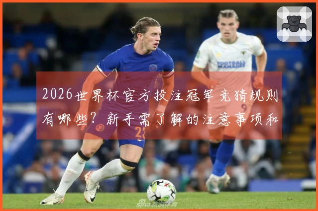 2026世界杯官方投注冠军竞猜规则有哪些?新手需了解的注意事项和平台选择攻略
