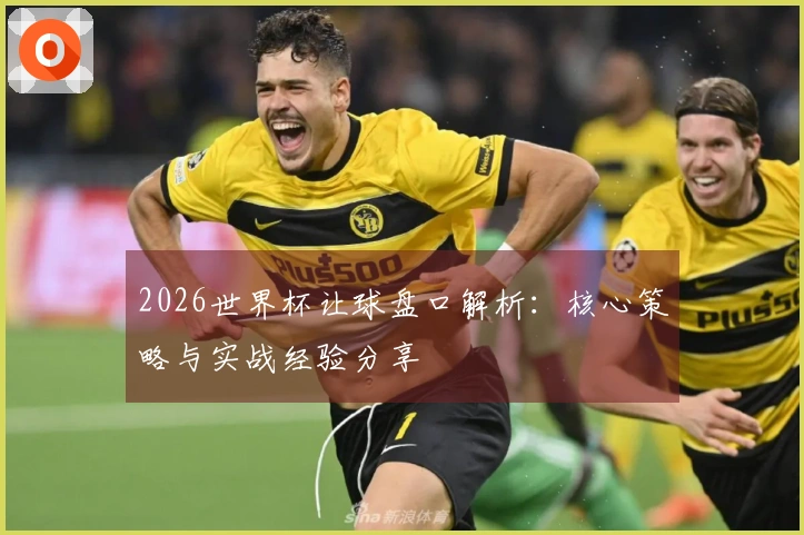 2026世界杯让球盘口解析：核心策略与实战经验分享