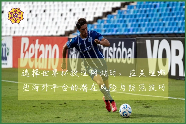 选择世界杯投注网站时，应关注哪些海外平台的潜在风险与防范技巧