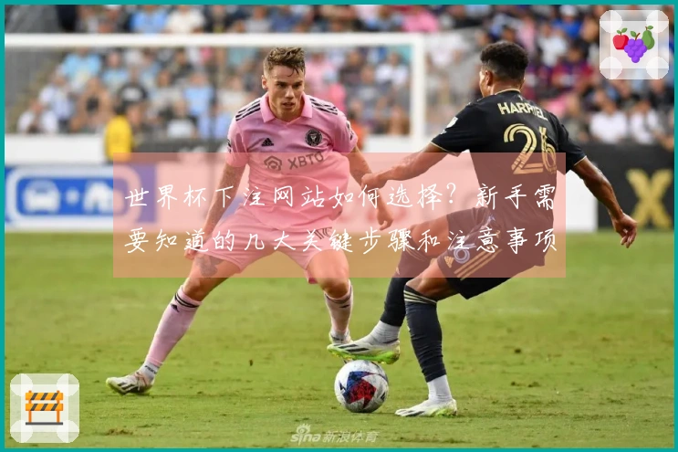 世界杯下注网站如何选择?新手需要知道的几大关键步骤和注意事项