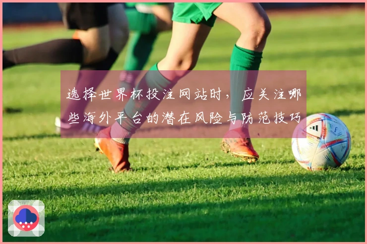 选择世界杯投注网站时，应关注哪些海外平台的潜在风险与防范技巧