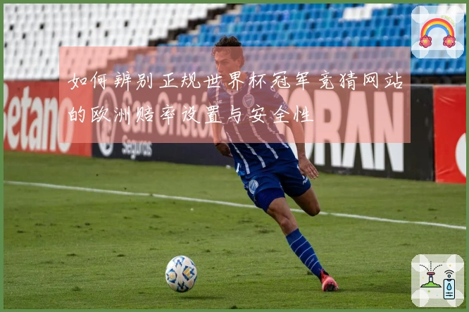 如何辨别正规世界杯冠军竞猜网站的欧洲赔率设置与安全性